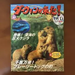 【中古】 プレーリードッグ、ジリスの医・食・住/どうぶつ出版/霍野晋吉 中古】 プレーリードッグ、ジリスの医・食・住/どうぶつ出版
