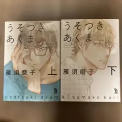 うそつきあくま 上下巻セット