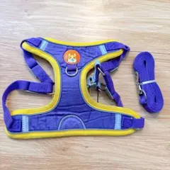 Item thumbnail for item 1c787f7d-ca9b-4f5e-97a1-3866698ab839