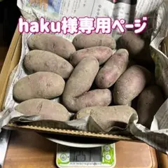 haku様専用ページ