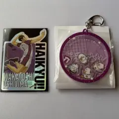 ハイキュー!! ファンパーク わちゃころアクリルキーホルダー 白鳥沢 ステッカー