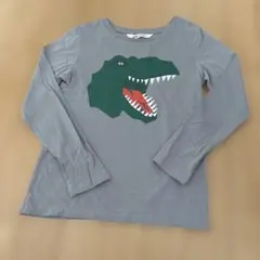 H&M 恐竜プリント 長袖カットソー 6-8Y CN130