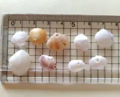 Item thumbnail for item db1d89cf-3f9b-4994-9377-60a99057e3e2