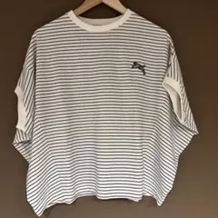 TRANOL. 今期　コクーントップスのサムネイル