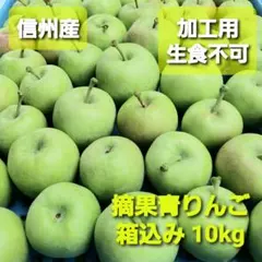 ［信州産］摘果青りんご(加工用・生食不可) 箱込み10kgのサムネイル