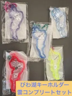 値下げ中】琵琶湖キーホルダー 琵琶湖バレイ限定 ピンク チェーン