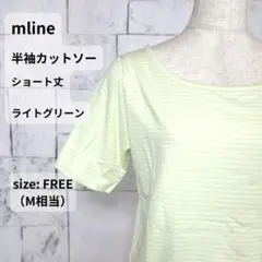 mline Tシャツ フリー F M相当 ライトグリーン ショート丈 ボーダーのサムネイル