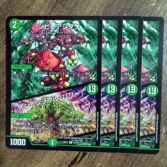 シビレアシダケ　インビンシブルパワー　①