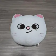 2025年最新】skzooブランケットの人気アイテム - メルカリ