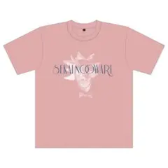 SEKAI NO OWARI　フェスTシャツ　新品未開封　セカオワ　Fes SEKAI NO OWARI Fes Tシャツ セカオワ フェス 極美品 - メルカリ