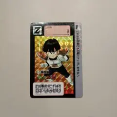 ス*カ様 ドラゴンボールZ カードダス 217孫悟飯 - メルカリ