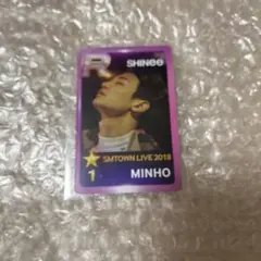 Item thumbnail for item 08598dfb-eded-4151-a647-eaff6c0f3ea2