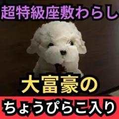 rofj ワンピース シュシュ ドアストッパーマスコット ぬいぐるみ RofJ