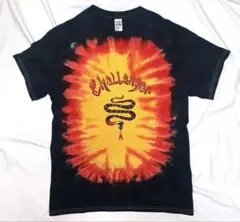 CHALLENGER / TIE DYE BURNING SNAKE TEE