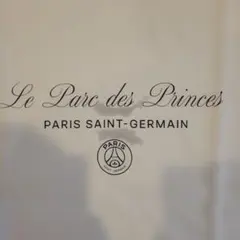 【L】PARIS SAINT-GERMAIN ジョーダン