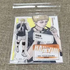 ハイキュー アクリルフィギュア 烏野 月島 ジャンプGIGA 2024 - メルカリ