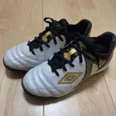 Umbro Accelerator トレーニングシューズ 20cm