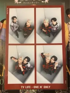 TV LIFE ワンエン　アマゾニアーカード　REI HAYATO