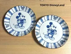 希少 レトロ 東京ディズニーランド ミッキーマウス 和風 カレー皿 2枚のサムネイル