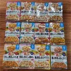 WAKODO 離乳食 12個セット 和光堂 ベビーフード パウチ