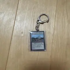 2025年最新】冨樫義博展 メタルキーホルダーの人気アイテム