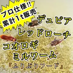 Item thumbnail for item dc32c668-2a79-4c8b-8b63-7e25f702b142