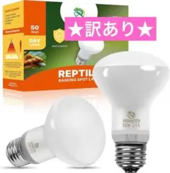 Item thumbnail for item c6b8732f-d3c7-443b-8681-561ba4948cc1