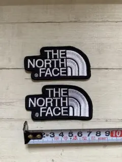 Item thumbnail for item 1165777f-43df-4ec3-ad9b-f76734405755