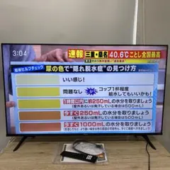 ジャンク品】Hisense 65E6E 65インチ 液晶テレビ 本体 - メルカリ