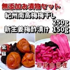紀州南高梅　無添加梅干し250g新生姜梅酢漬け150gのサムネイル