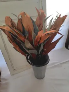 2026年最新】グレビレアの人気アイテム - メルカリ