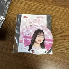 むねる様 リクエスト 2点 まとめ商品