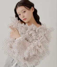 【SALON by Chico】オフショルランダムチュールドットブラウスのサムネイル