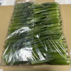 香川県産オクラ　サイズ様々50本以上のサムネイル