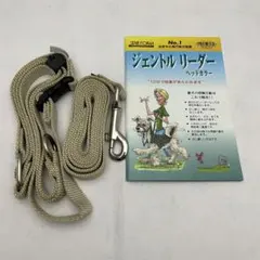 Item thumbnail for item 7c6033f9-075b-4908-9200-655ae6a76c96