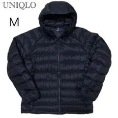 Item thumbnail for item 50594b62-ff4f-423a-8309-15a8958e3855