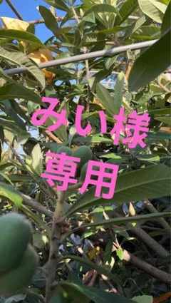 みい様専用