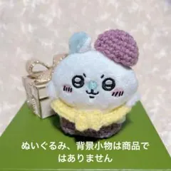 L様 リクエスト 2点 まとめ商品