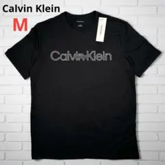 海外限定 カルバンクライン Tシャツ M レアロゴ 希少デザイン