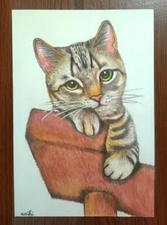☆猫色鉛筆画