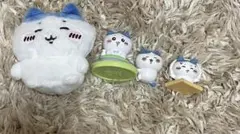 ハチワレ　セット