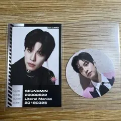 Stray kidsスキズ　ODDINARY スンミン　封入セット　トレカ