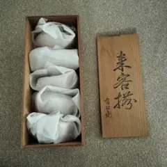 有田焼 元禄古伊万里 菊割小鉢揃 5枚セット 輪花鉢 色絵 煮物鉢 刺身