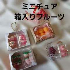 ミニチュア　フルーツ　セット