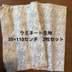 Item thumbnail for item 43391497-4b3c-4e1b-8abc-2c361104b7e8