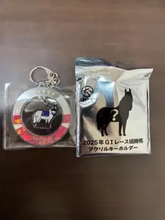 2026年最新】jra ゴールドシップの人気アイテム - メルカリ