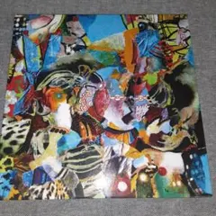 SURGEON / Breaking The Frame