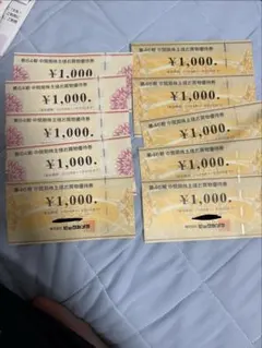 ビックカメラ　、コジマ株主優待券 10枚 10000円分