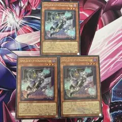遊戯王 M∀LICE<P>Cheshire Cat シク1枚 ウルトラ2枚セット