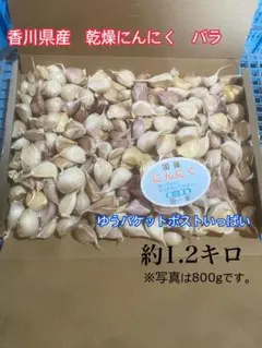 令和8年度　香川県産　乾燥にんにく　ゆうパケットポストいっぱい　約1.2キロのサムネイル